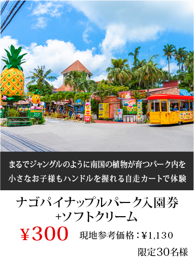 ナゴパイナップルパーク入園券+ソフトクリーム
