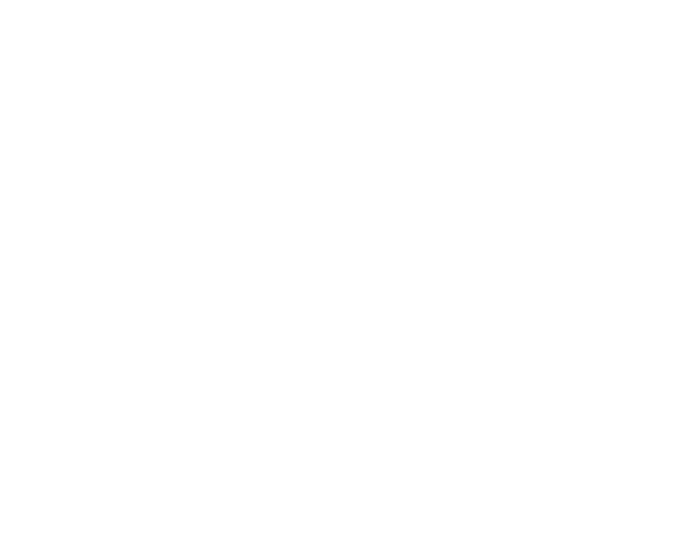 Enjoy!!Black Fan Party