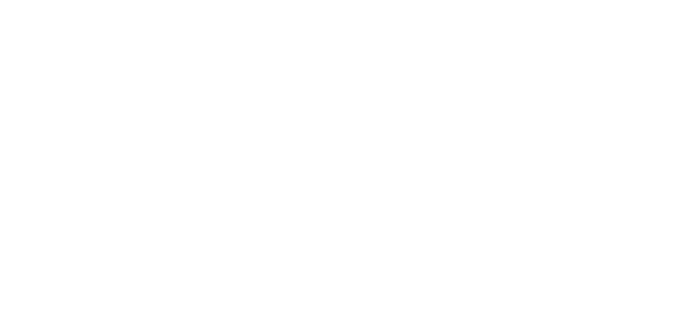 Black Fan Party