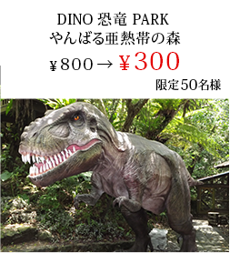 DINO 恐竜PARK やんばる亜熱帯の森
