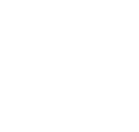 RICOH　GRⅡ ソフトケースセット