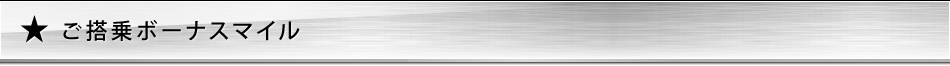 ご搭乗ボーナスマイル ご搭乗ボーナスマイル