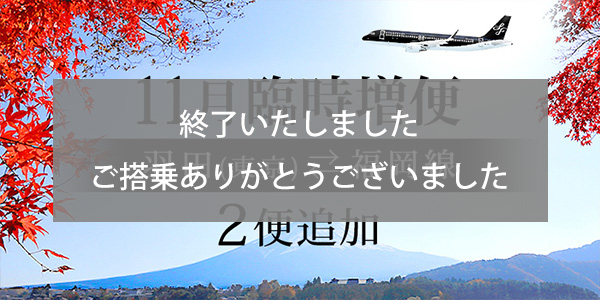 Extra flights between Tokyo (Haneda) and Fukuoka in November