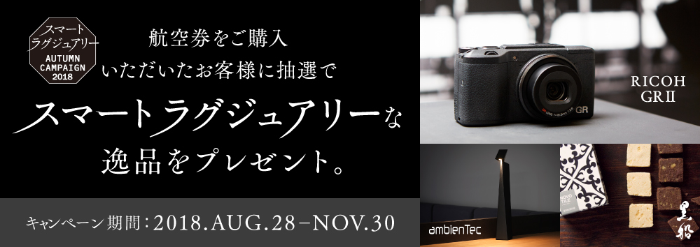 �X�}�[�g���O�W���A���[�Ȉ�i���v���[���g�B