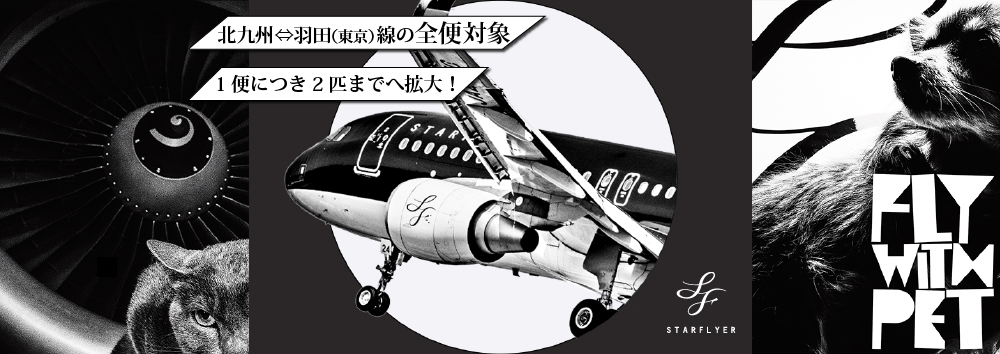 一緒なら、もっと心躍る旅になる。FLY WITH PET!国内で唯一のペット同伴搭乗サービス