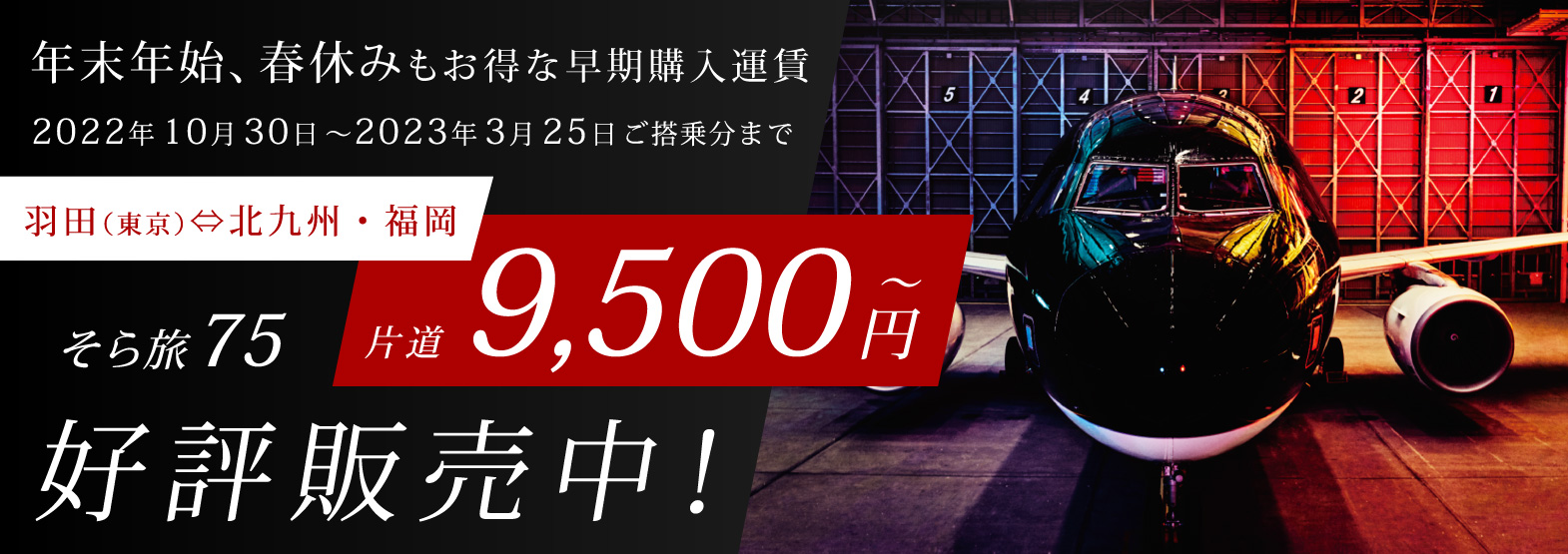 年末年始・春休みもお得な早期購入運賃 好評販売中