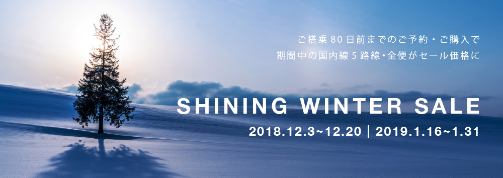 Shining Winter Sale