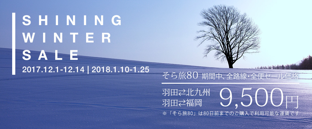 Shining Winter Sale