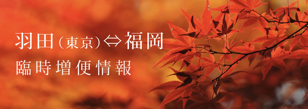羽田（東京）⇄ 福岡線 臨時増便運航