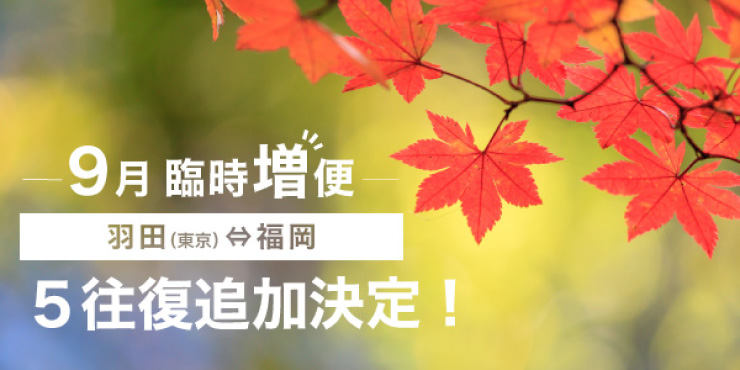 羽田（東京）⇄ 福岡線 臨時増便運航