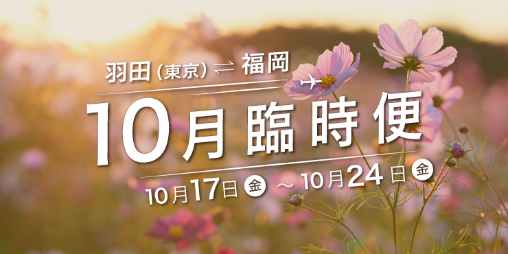 羽田（東京）⇄ 福岡線 臨時便運航