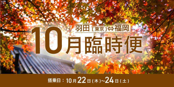 羽田(東京) ⇄ 福岡線 臨時便運航