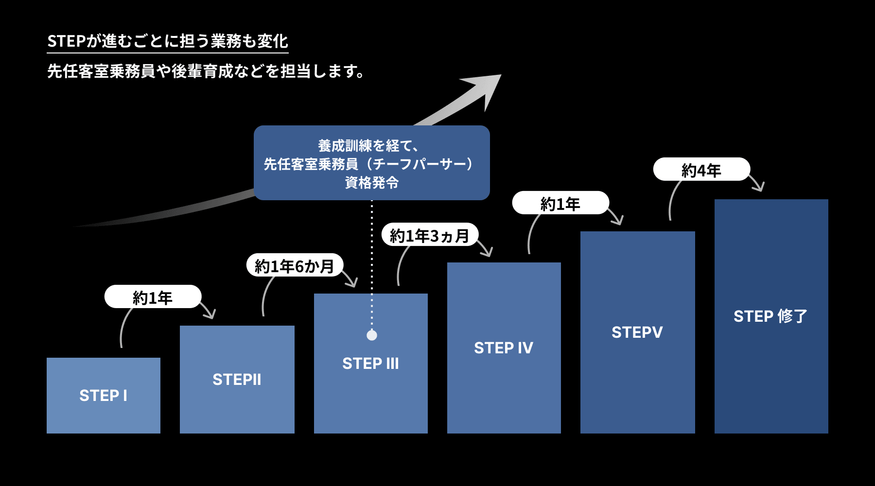 キャリアパス図版