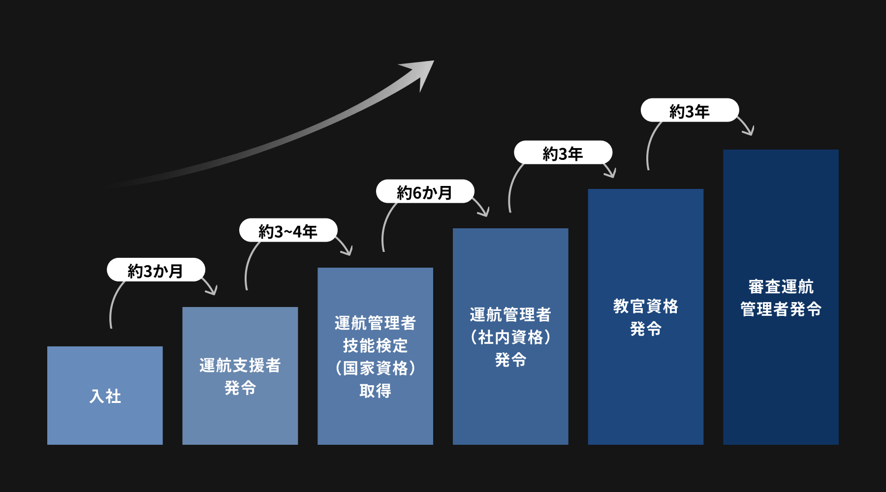 キャリアパス図版