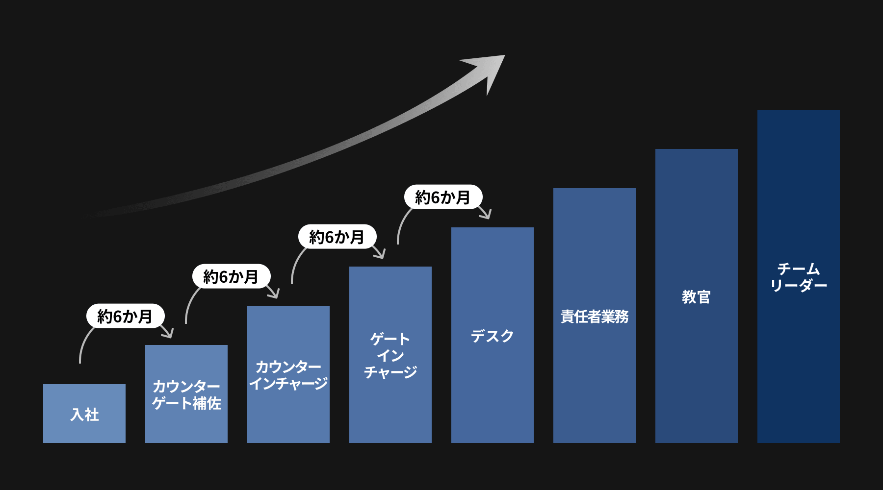 キャリアパス図版