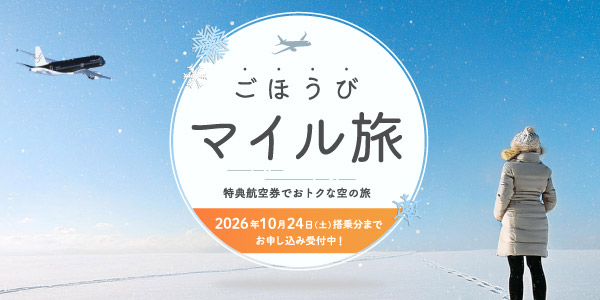 貯まったマイルで気軽な空の旅