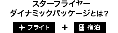 スターフライヤー ダイナミックパッケージとは？