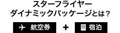 スターフライヤー ダイナミックパッケージとは？