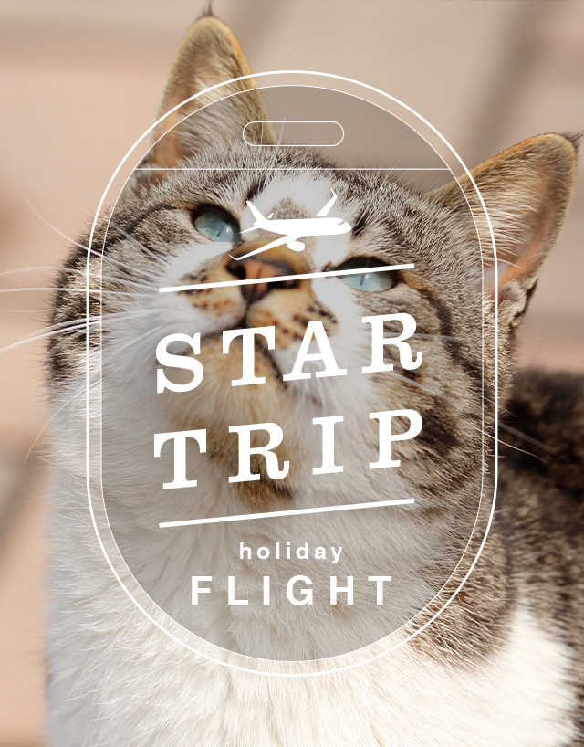 STAR TRIP holiday FLIGHT